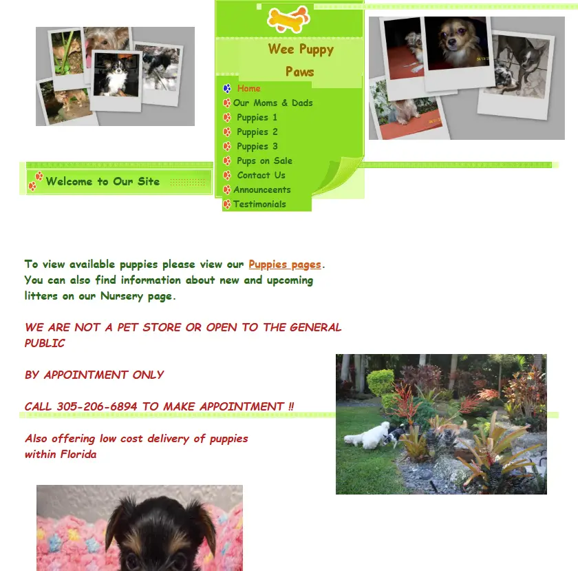 weepuppypaws-portfolio